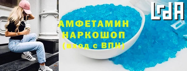трава Белокуриха