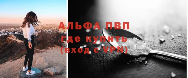 трава Белокуриха