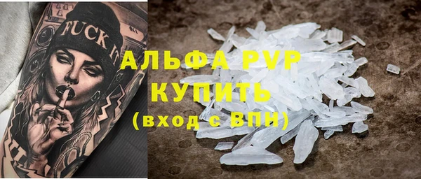 трава Белокуриха
